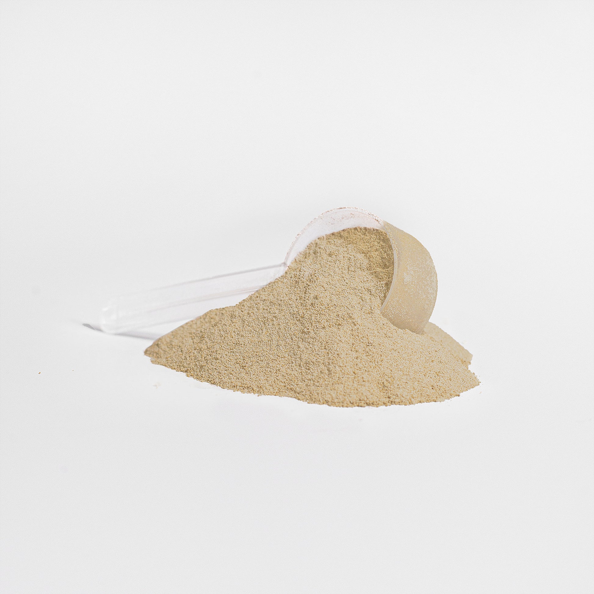 Lovely Toya Plant Protein (Vanilla) - Hillery's Products & Services