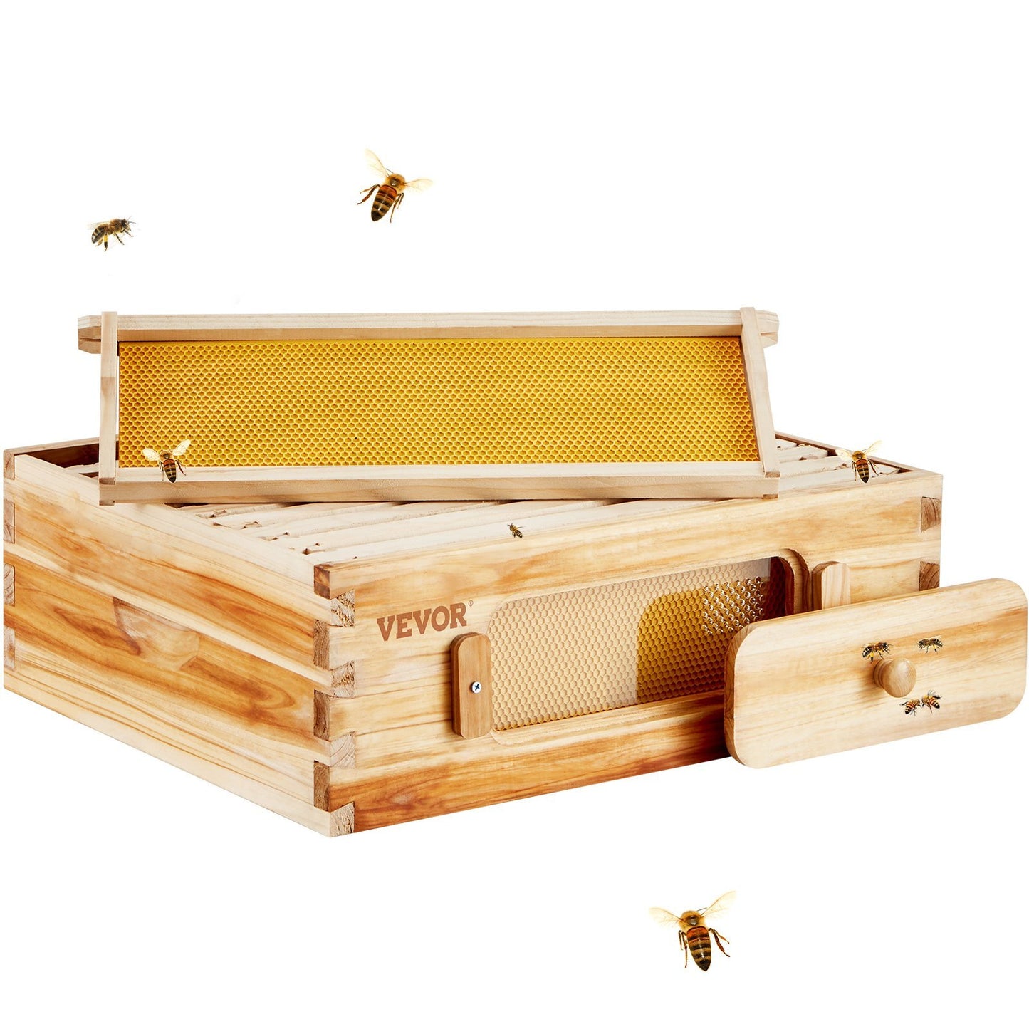 Bee Hive Medium Box Starter Kit